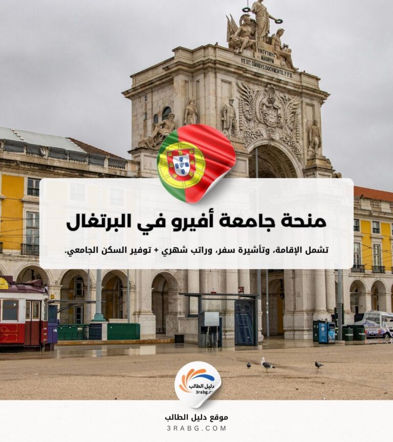 منحة جامعة أفيرو في البرتغال