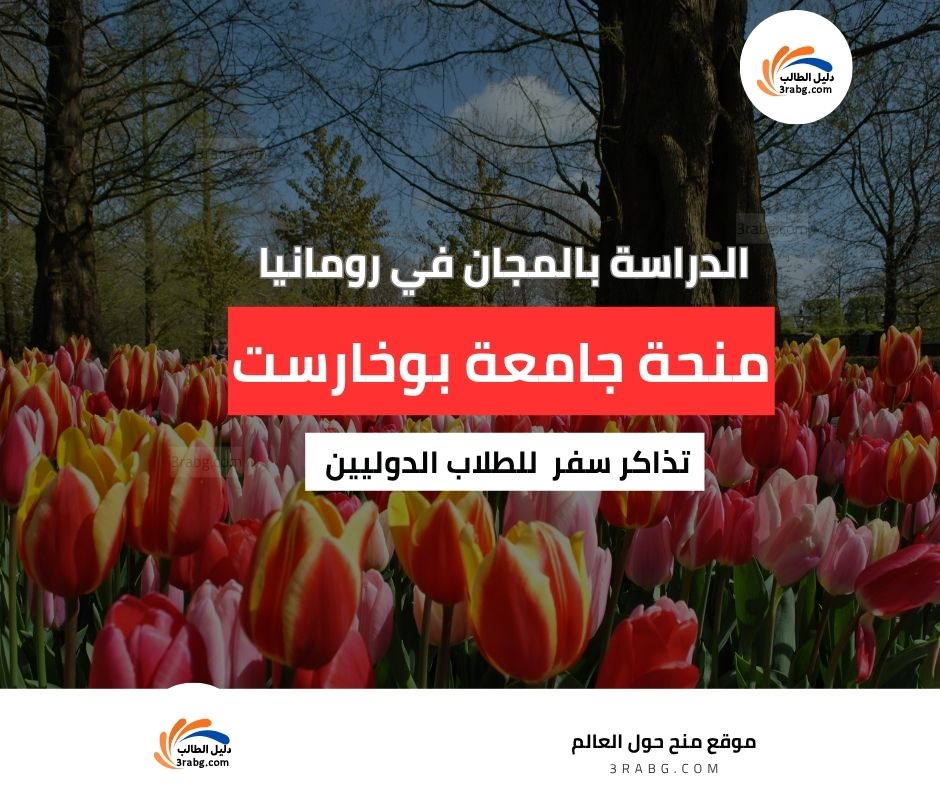 منحة جامعة بوخارست