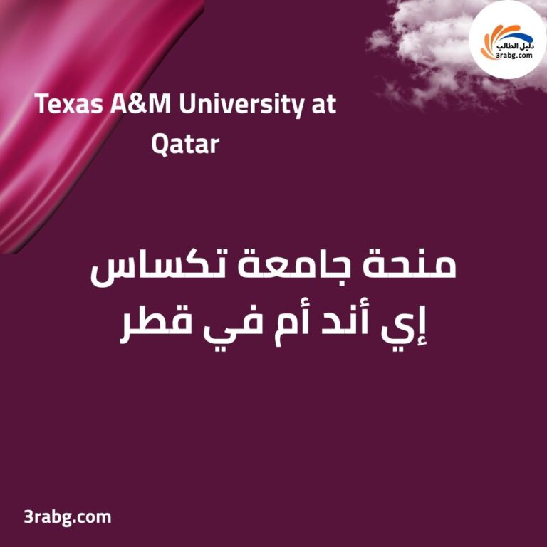 منحة جامعة تكساس إي أند أم في قطر