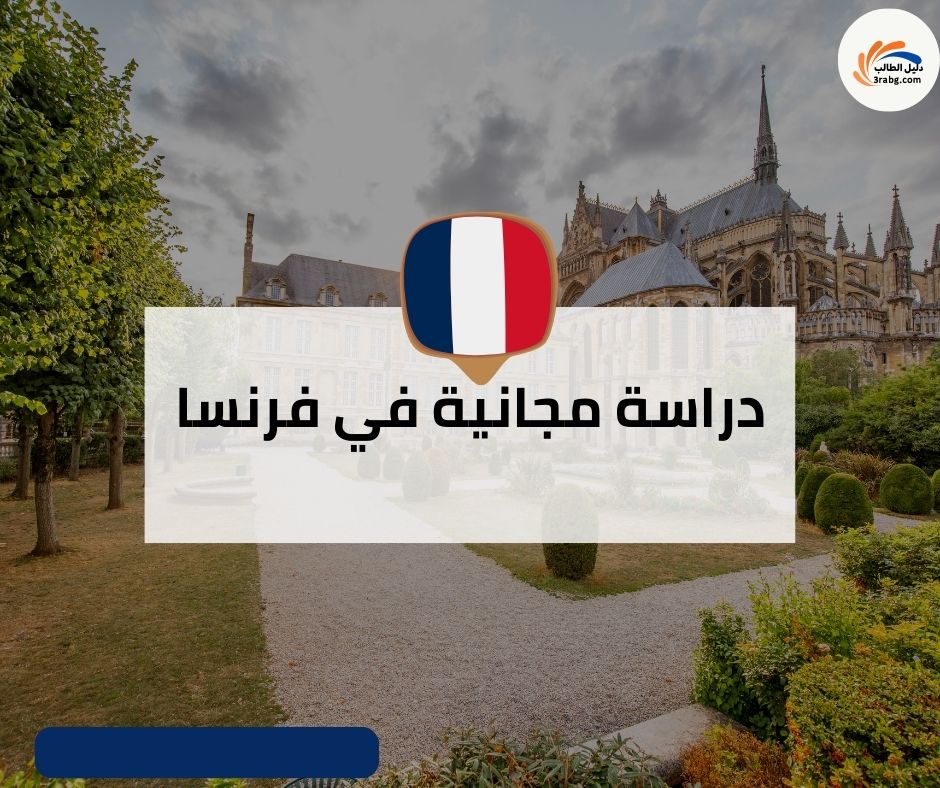 منحة جامعة ستراسبورغ في فرنسا | المزايا والشروط