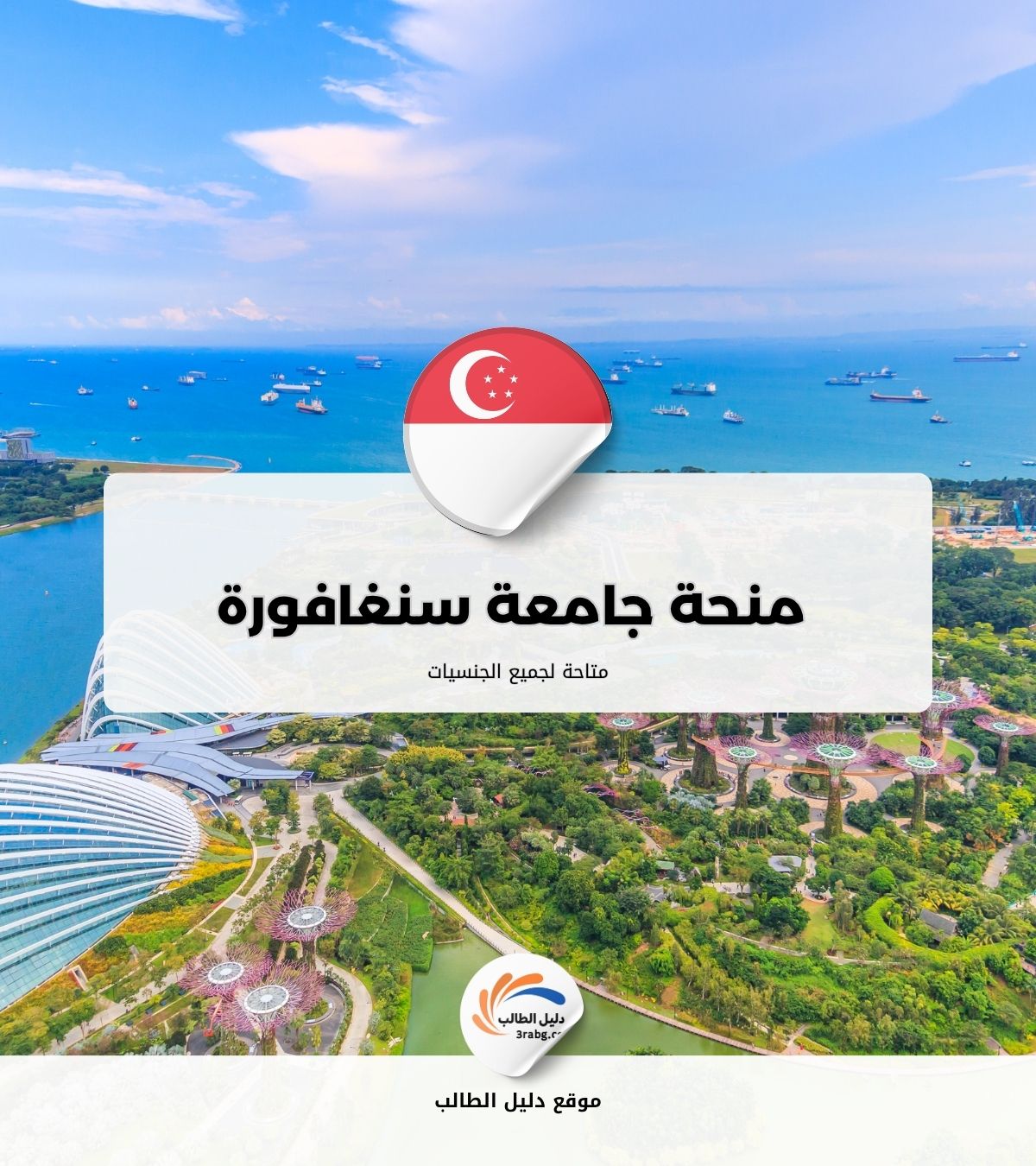 منحة جامعة سنغافورة للإدارة