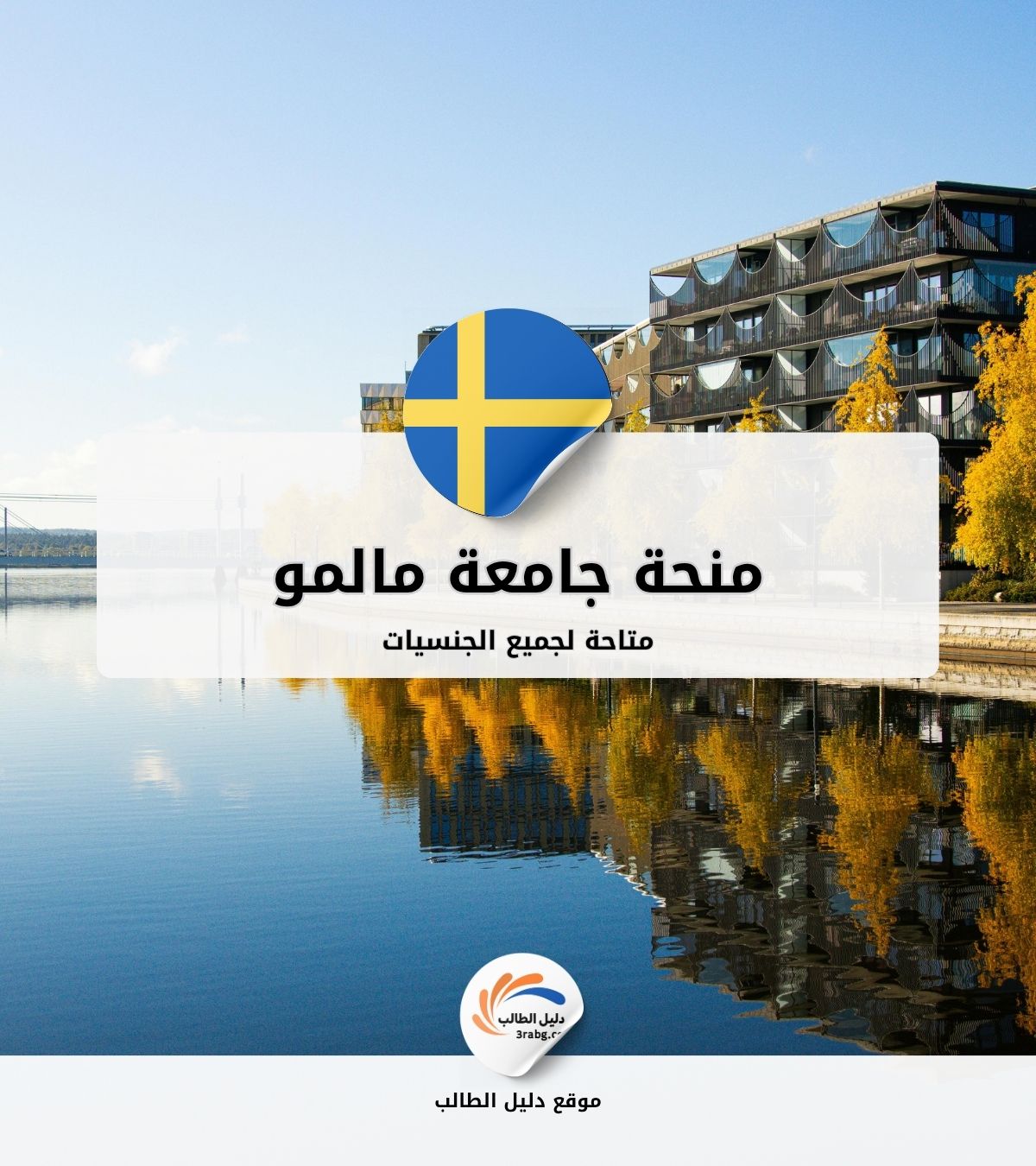 منحة جامعة مالمو