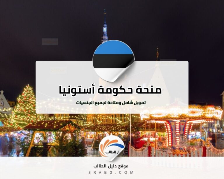 منحة حكومة أستونيا