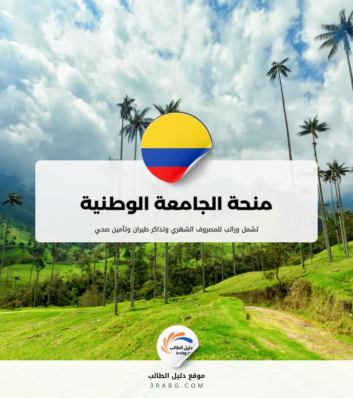 منحة الجامعة الوطنية في كولومبيا