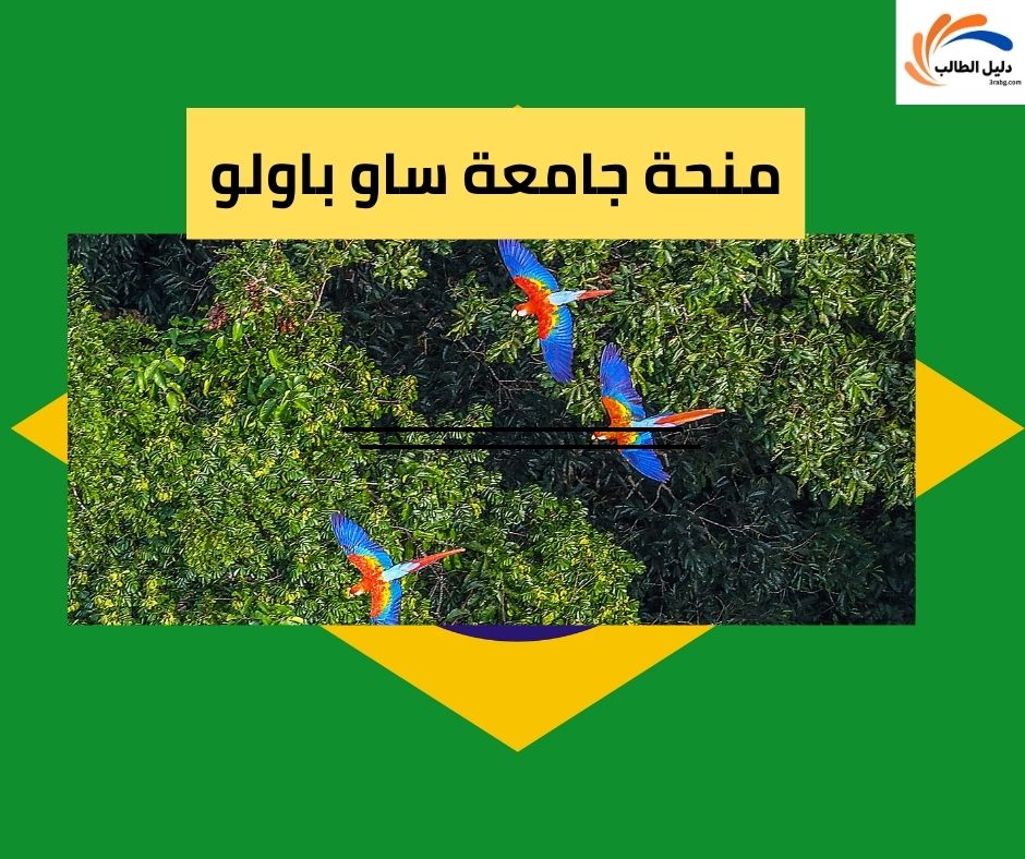 منحة جامعة ساو باولو في البرازيل