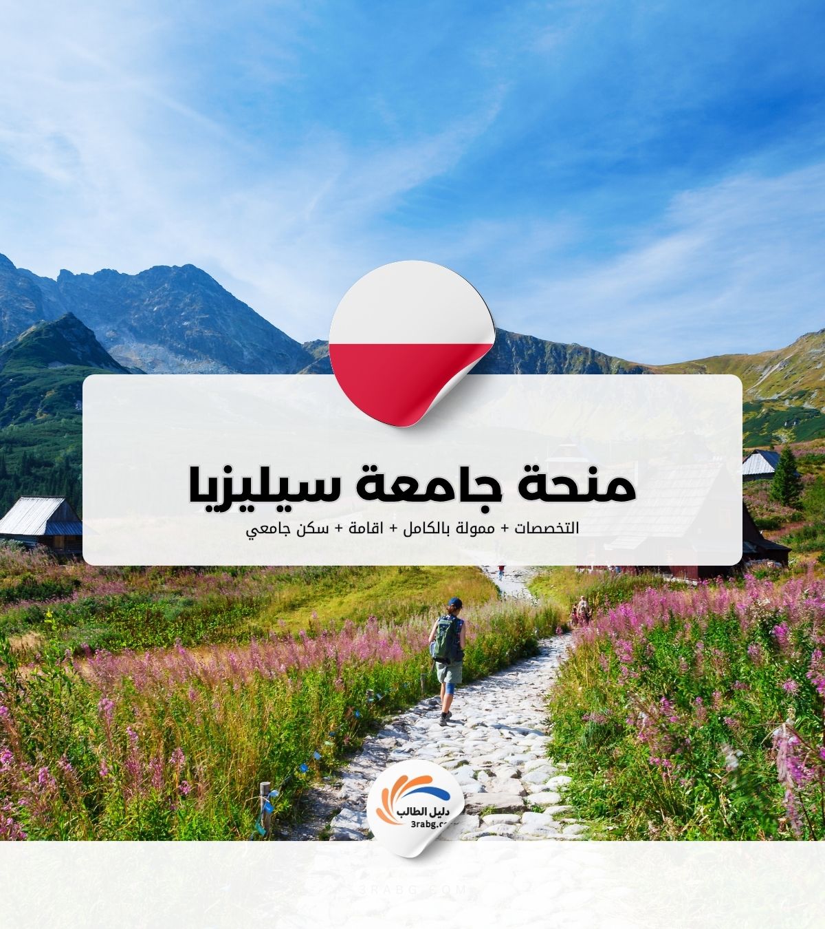 منحة جامعة سيليزيا للتكنولوجيا في بولندا