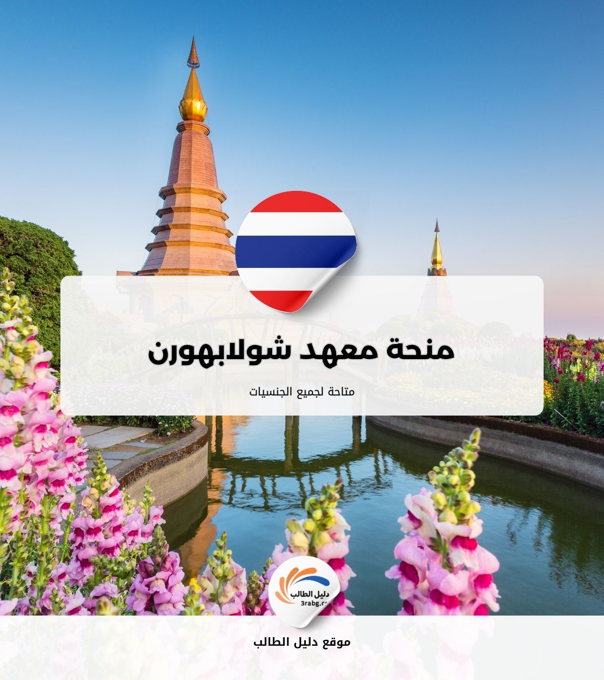 منحة معهد شولابهورن