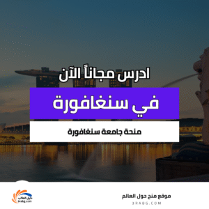 منحة جامعة سنغافورة