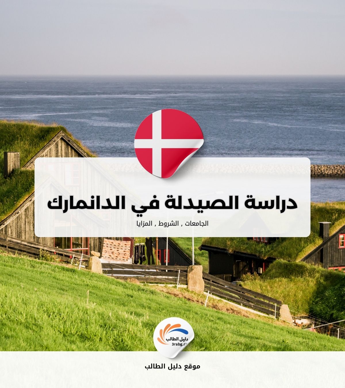 دراسة الصيدلة في الدانمارك