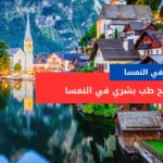 منح طب في النمسا ممولة بالكامل