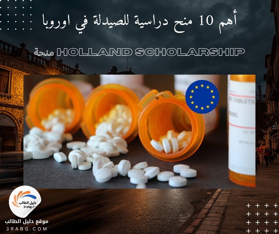 منحة Holland Scholarship