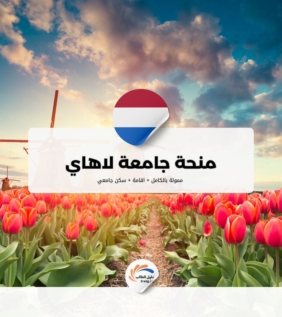 منحة جامعة لاهاي