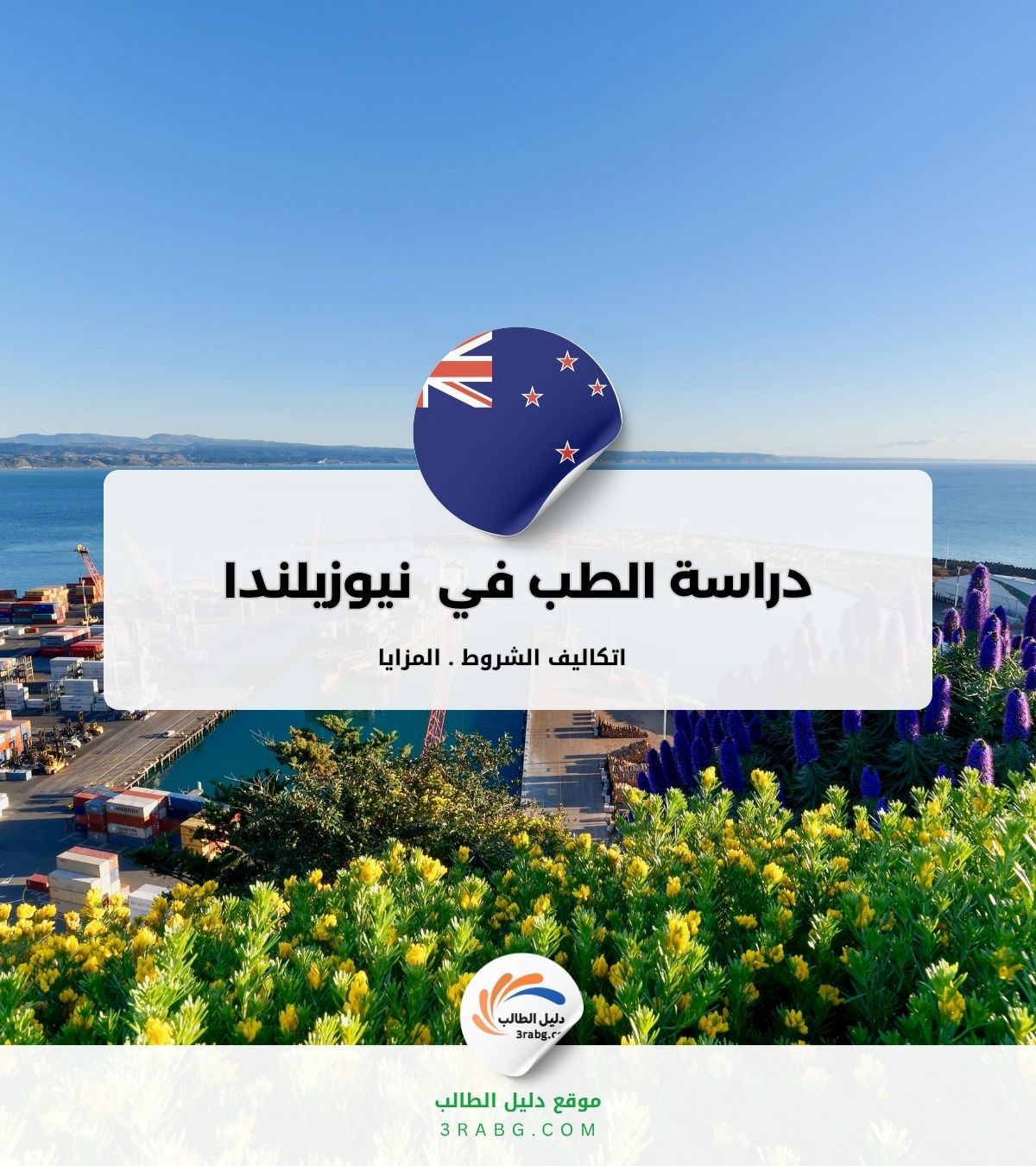 دراسة الطب في نيوزيلندا مجانًا