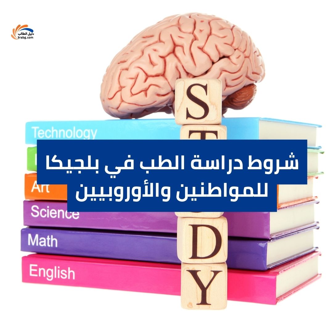 شروط دراسة الطب في بلجيكا للمواطنين والأوروبيين