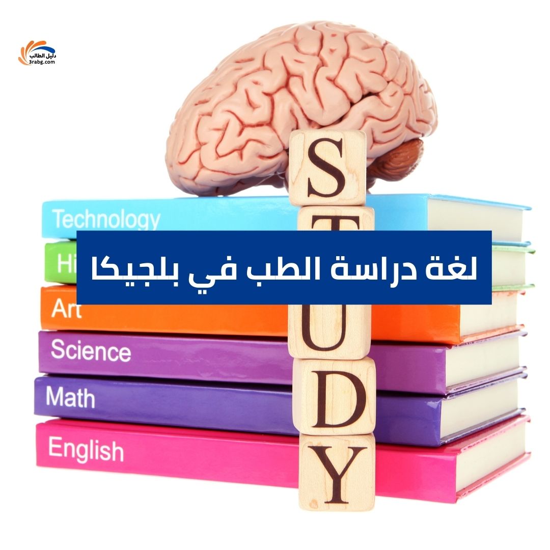 لغة دراسة الطب في بلجيكا: العائق والفرصة