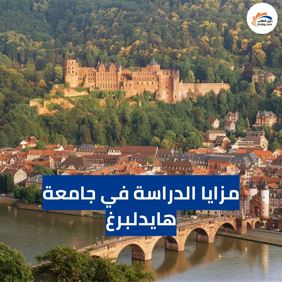 مزايا الدراسة في جامعة هايدلبرغ