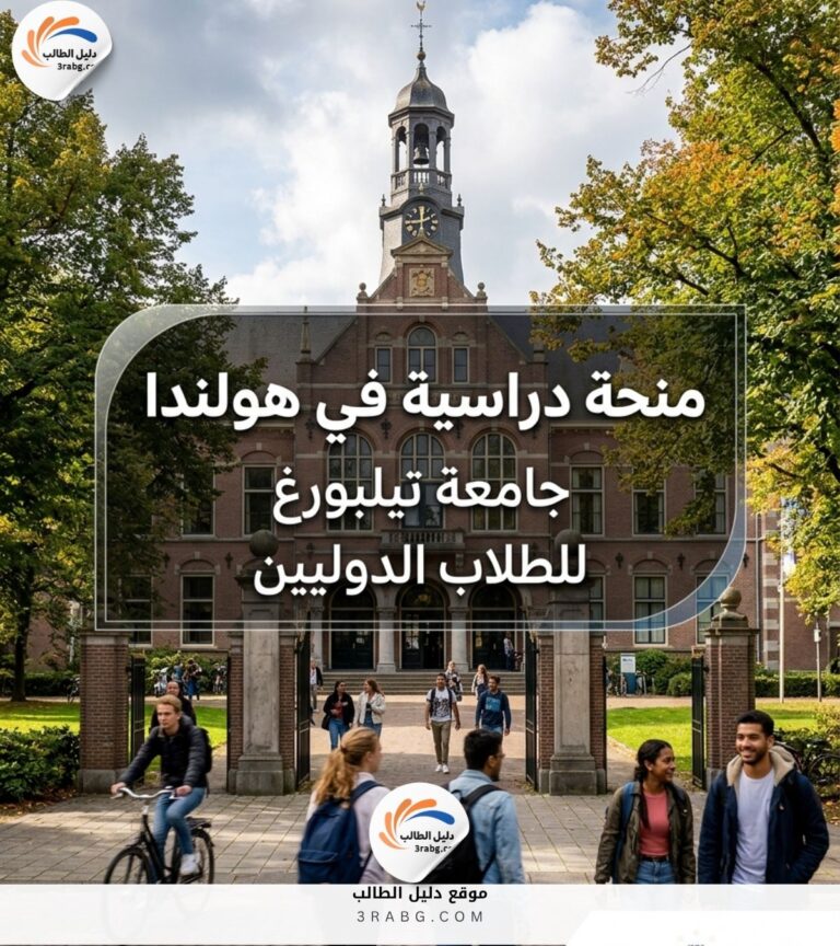 منحة جامعة تيلبورغ في هولندا