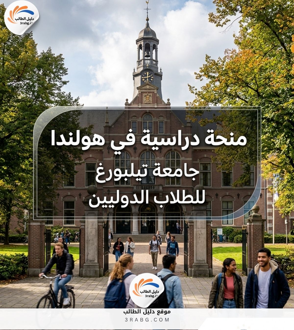 منحة جامعة تيلبورغ في هولندا