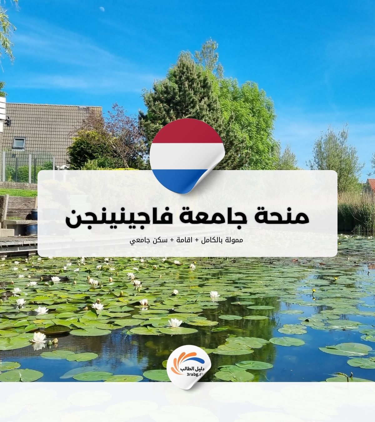منحة جامعة فاجينينجن في هولندا