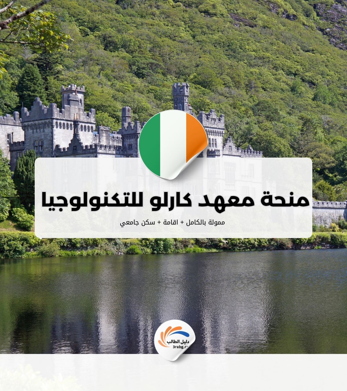 منحة معهد كارلو للتكنولوجيا في إيرلندا