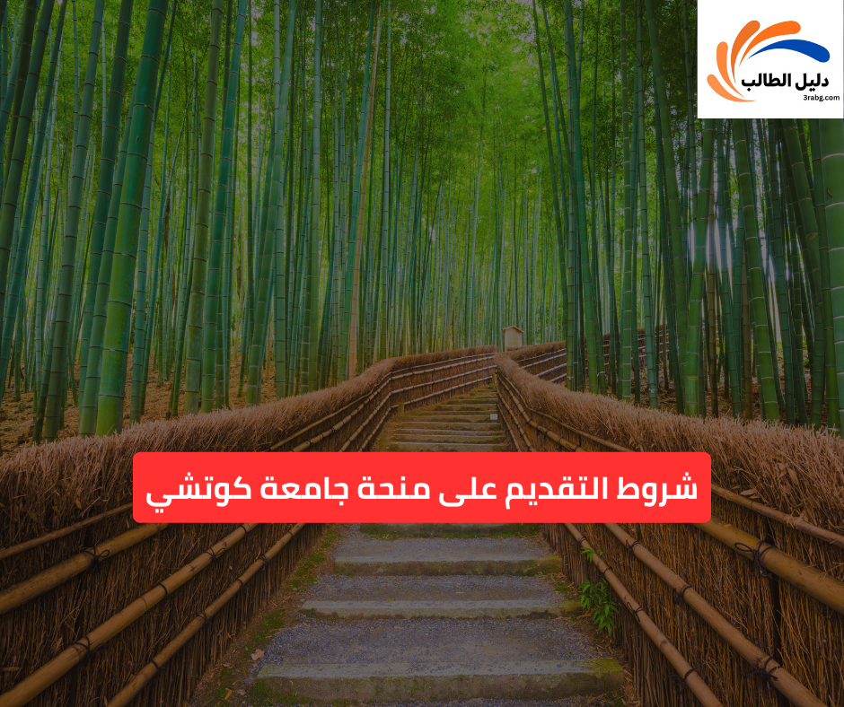 شروط التقديم على منحة جامعة كوتشي