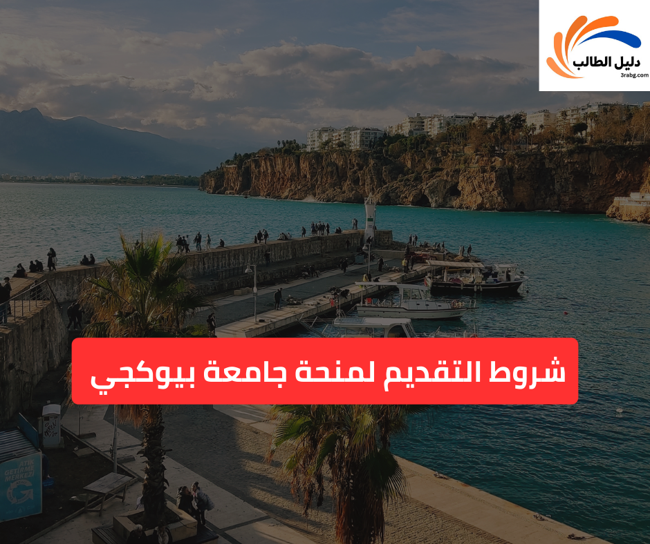 شروط التقديم لمنحة جامعة بيوكجي 