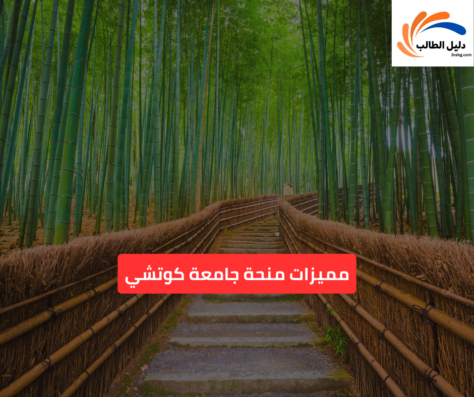 مميزات منحة جامعة كوتشي