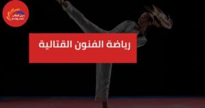 رياضة الفنون القتالية