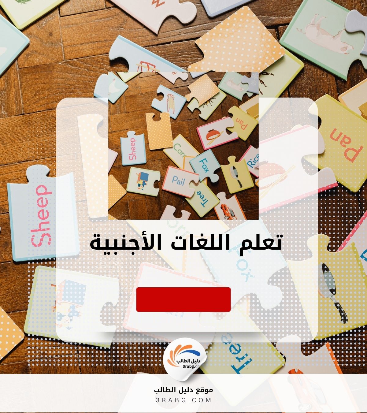 تعلم اللغات الأجنبية