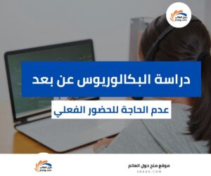 دراسة البكالوريوس عن بعد