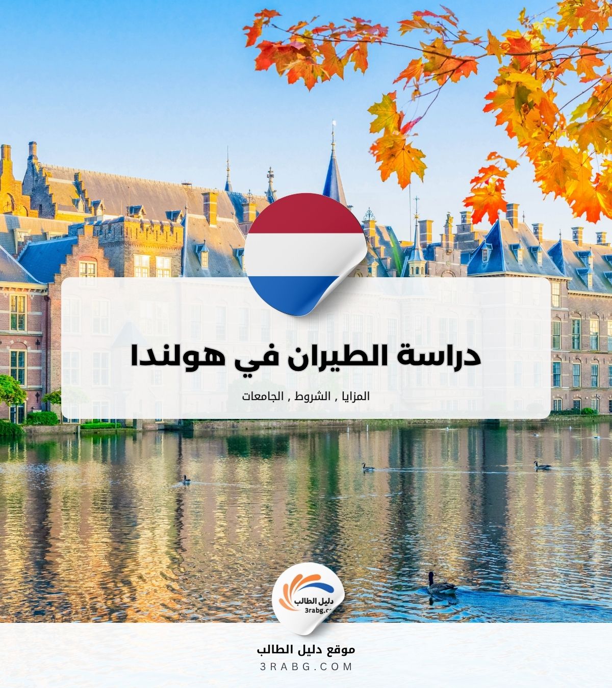دراسة الطيران في هولندا