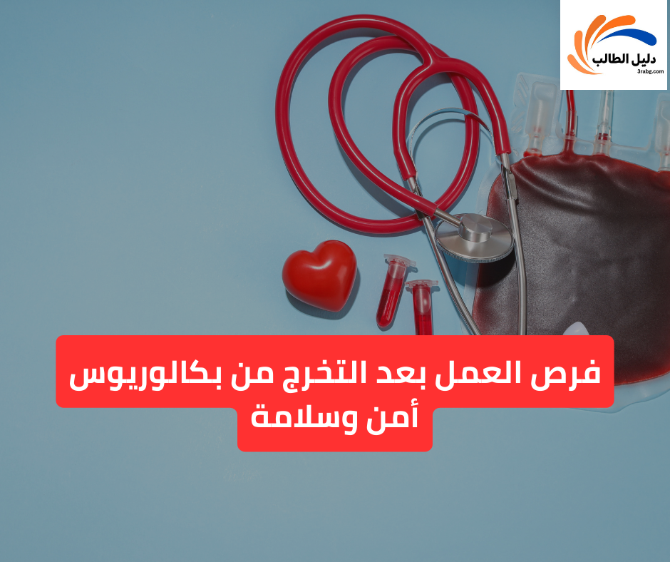 فرص العمل بعد التخرج من بكالوريوس أمن وسلامة