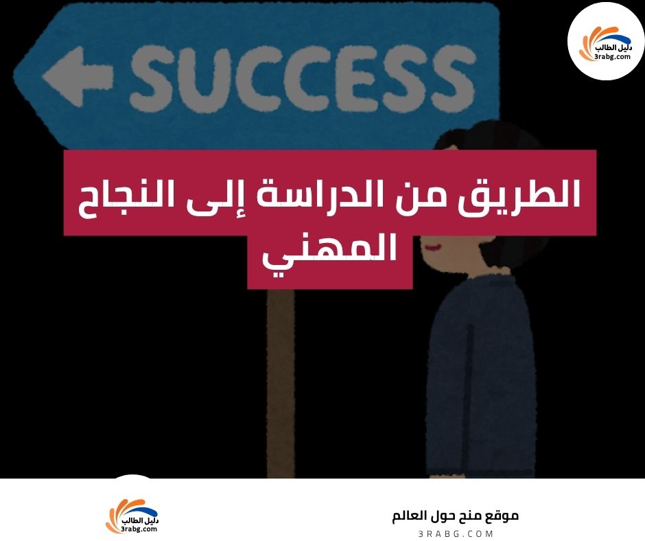 الطريق من الدراسة إلى النجاح المهني