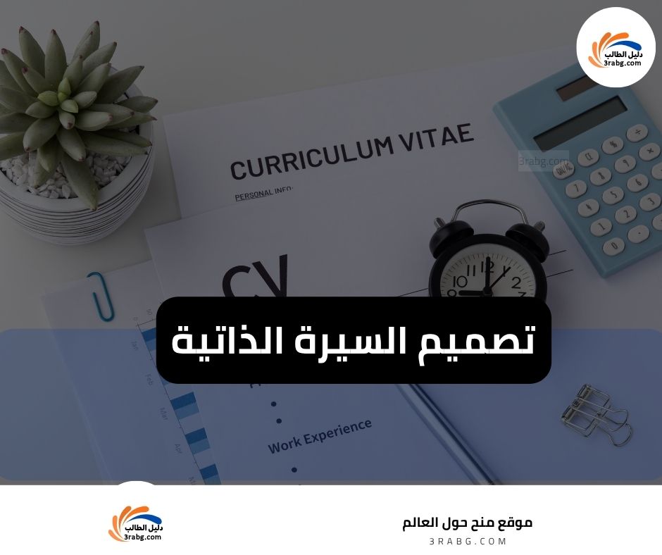 تصميم السيرة الذاتية: بسيط ومنظم