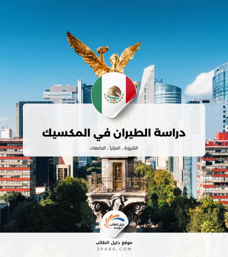 دراسة الطيران في المكسيك