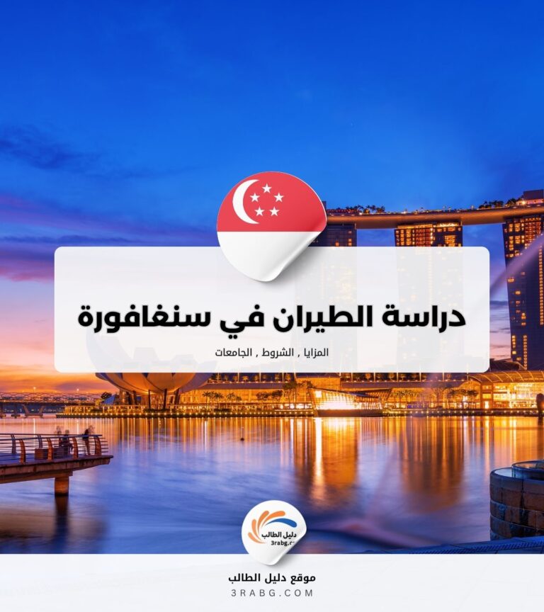 دراسة الطيران في سنغافورة