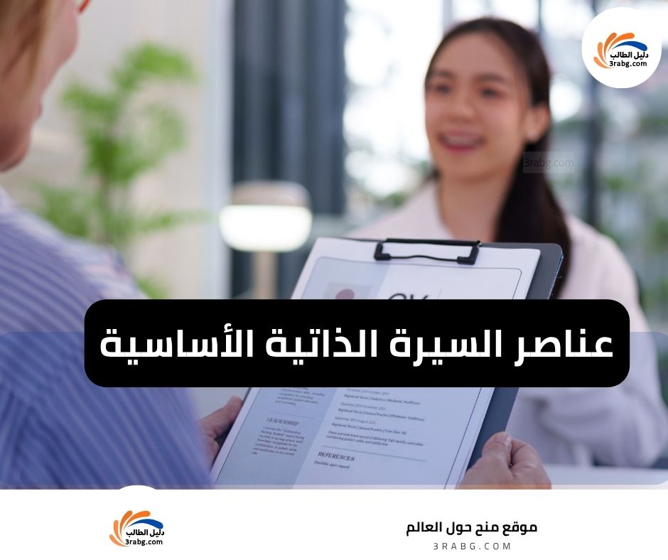 عناصر السيرة الذاتية الأساسية