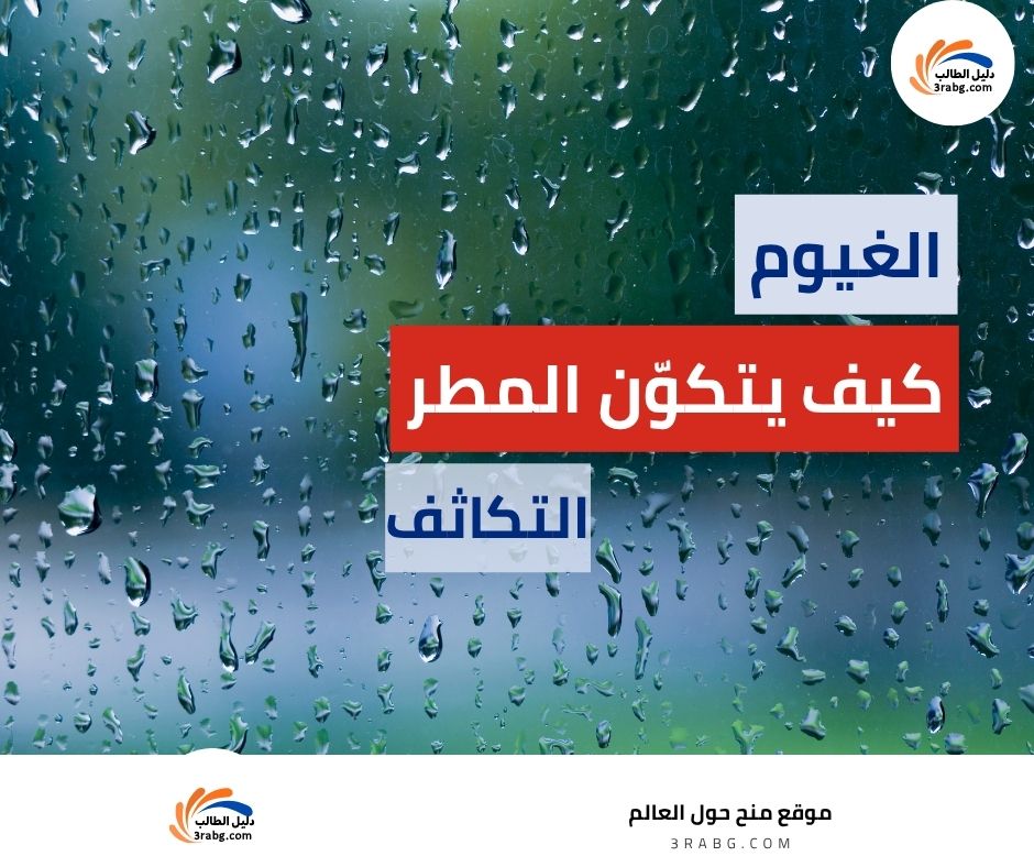 كيف يتكوّن المطر؟