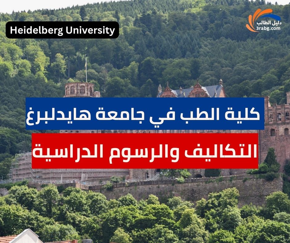 التكاليف والرسوم الدراسية في كلية الطب في جامعة هايدلبرغ
