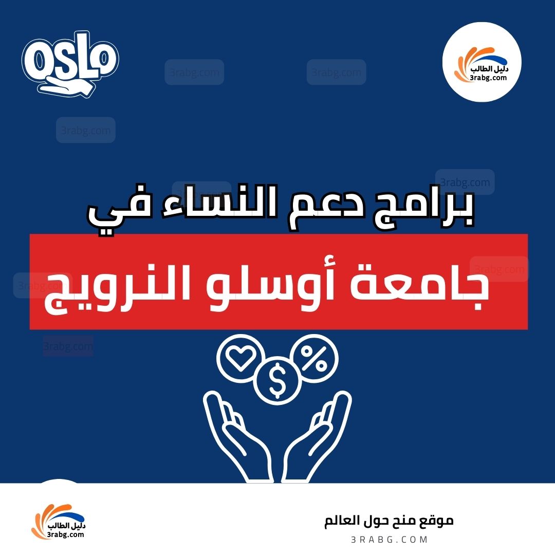 برامج دعم النساء في النرويج