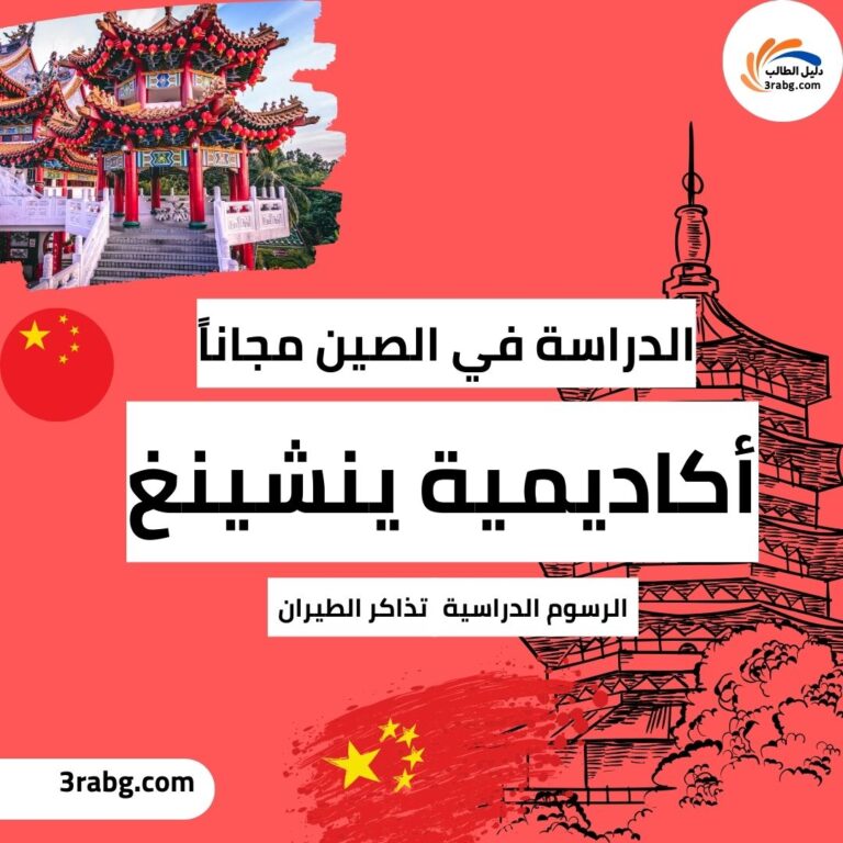 منحة أكاديمية ينشينغ في جامعة بكين