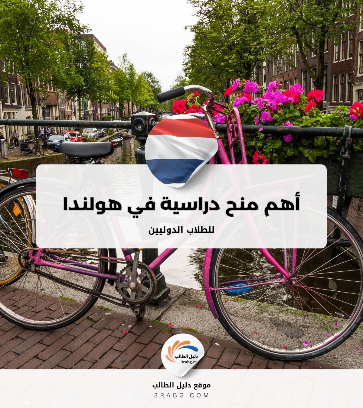 أهم 10 منح دراسية للطلاب الدوليين في هولندا