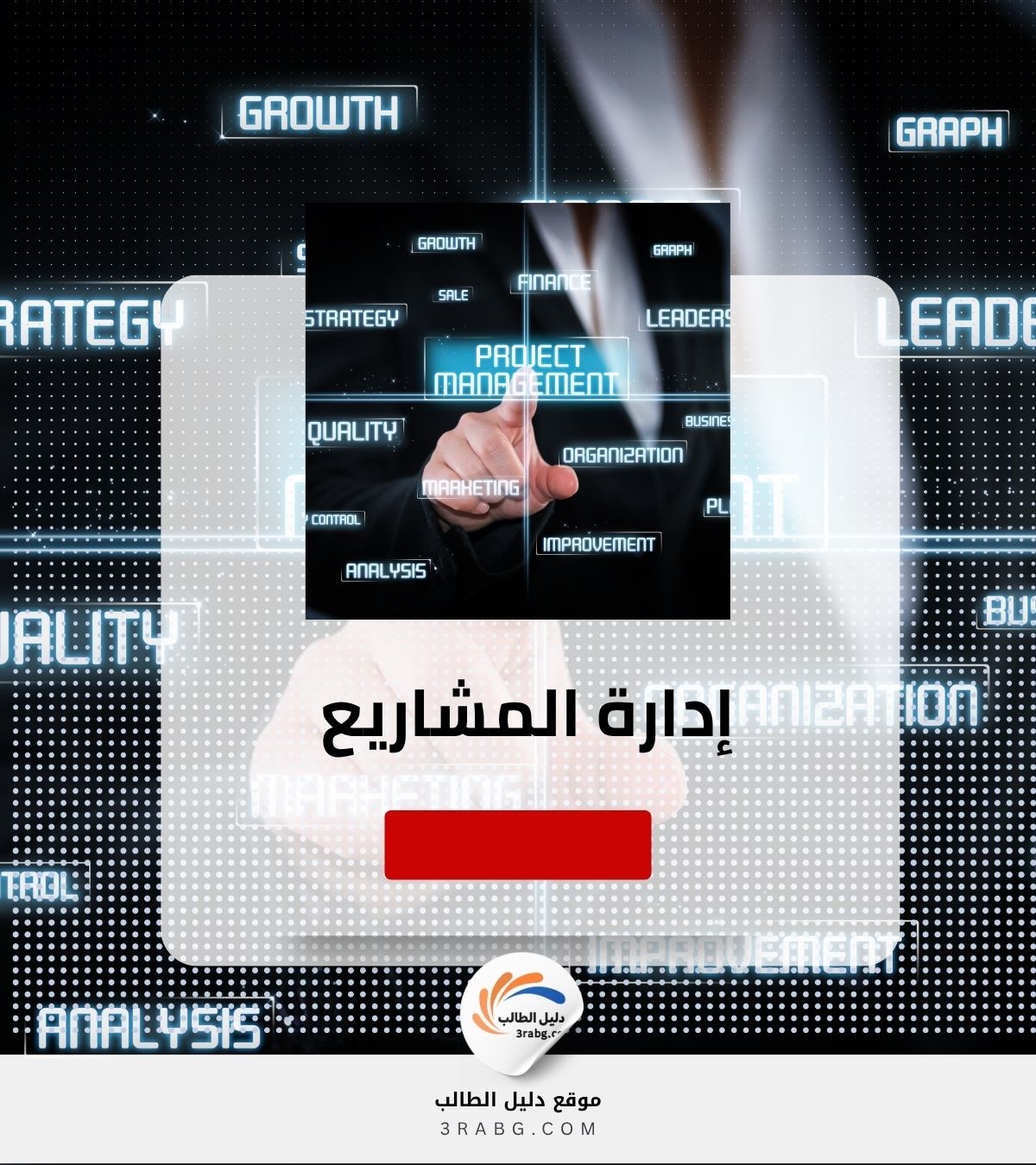 إدارة المشاريع