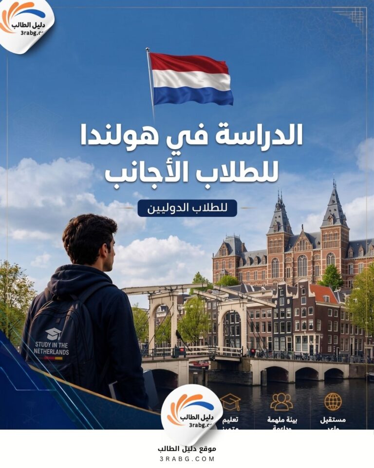 الدراسة في هولندا للطلاب الأجانب