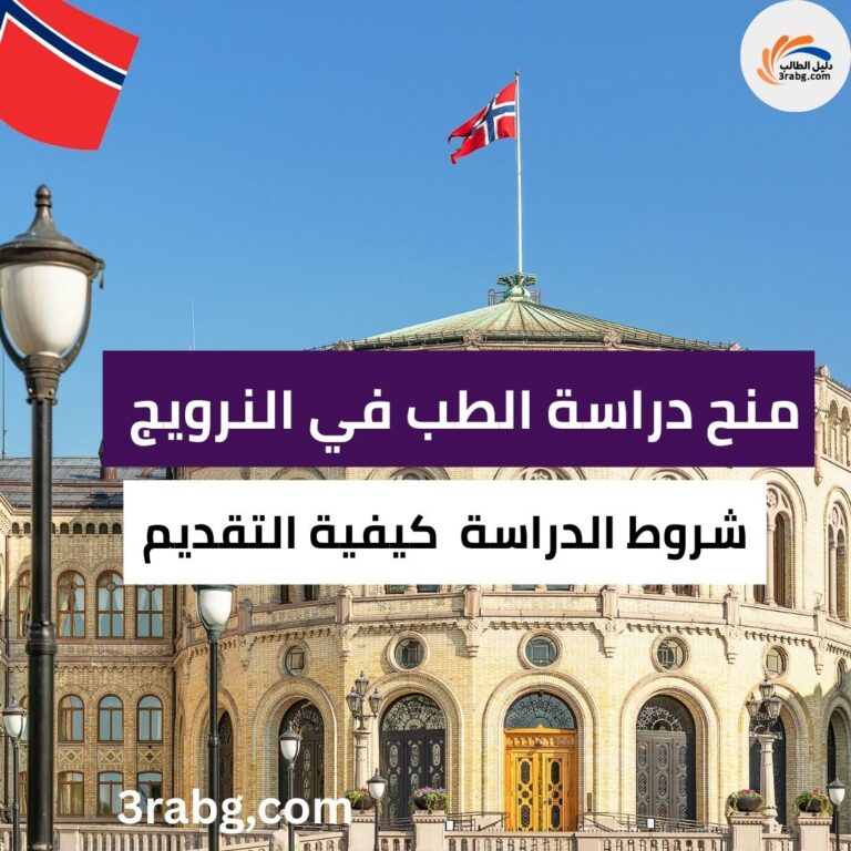 كيفية التقديم على منح دراسة الطب في النرويج