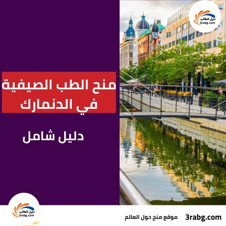 منح الطب الصيفية في الدنمارك: دليل شامل