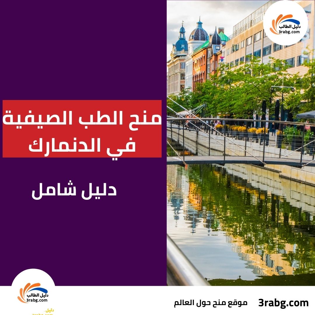 منح الطب الصيفية في الدنمارك: دليل شامل