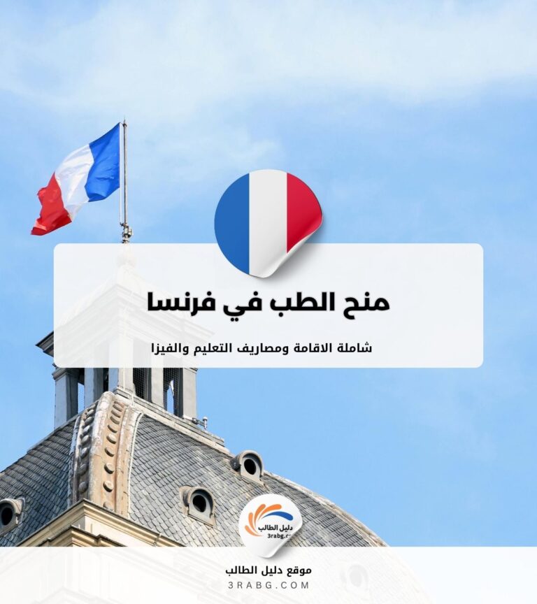 منح الطب في فرنسا