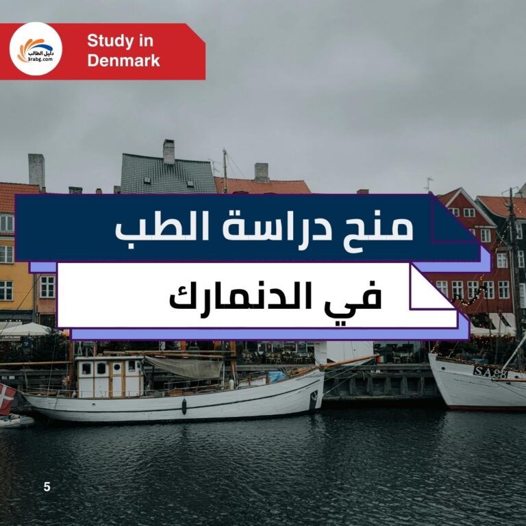 منح دراسة الطب في الدنمارك: منح ممولة للطلاب