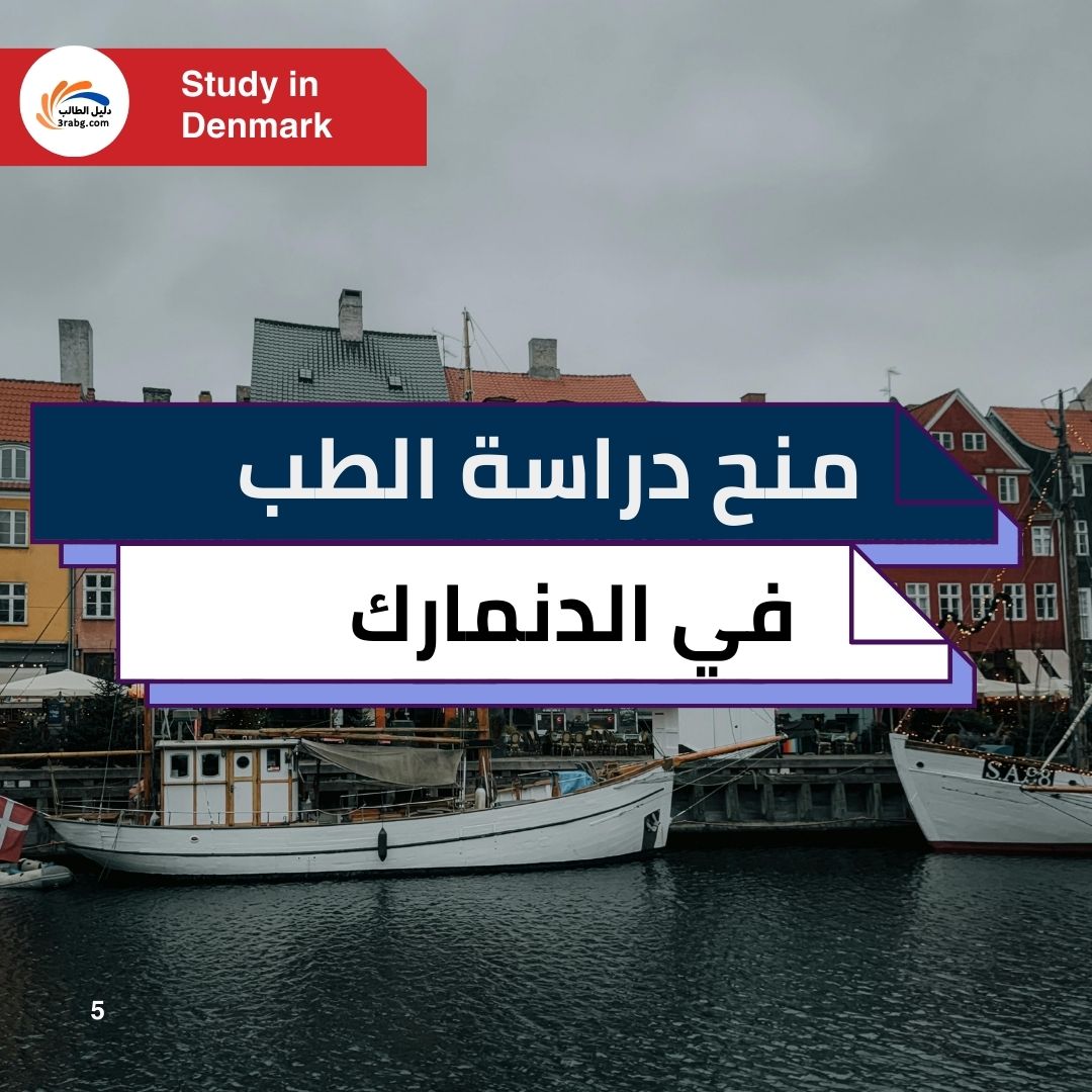 منح دراسة الطب في الدنمارك: منح ممولة للطلاب